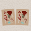 Dried Flowers Sticker Set