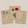 DRIED FLOWERS STICKER